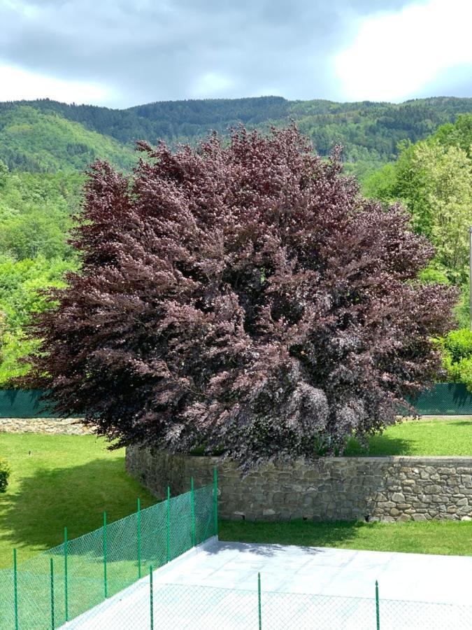 Nidi Del Faggio Rosso - Family Holiday Home Maresca ภายนอก รูปภาพ